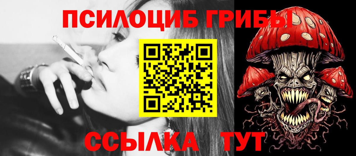 Спасск-Дальний  Псилоцибиновые грибы мицелий  Вход с VPN 
